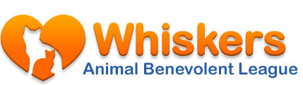 whiskers_logo
