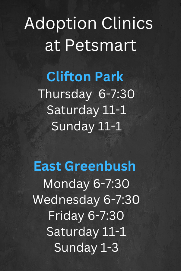 Adoption Clinic Hours
