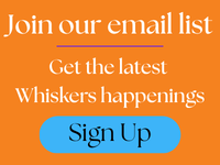 Join our email list