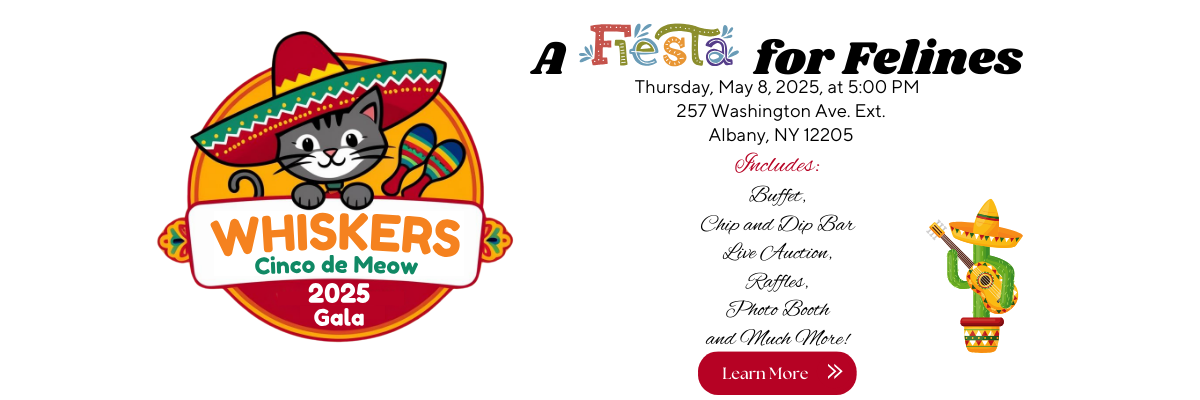 Cinco de Meow Gala